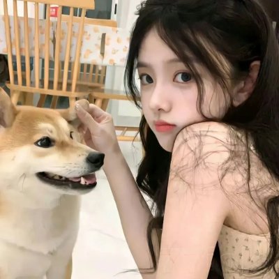 知更鸟罗宾