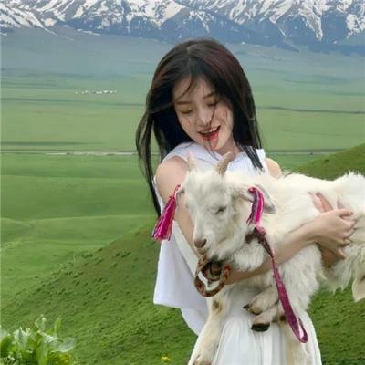 霹雳皇龙纪